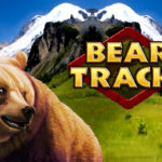 bear-tracks-logo